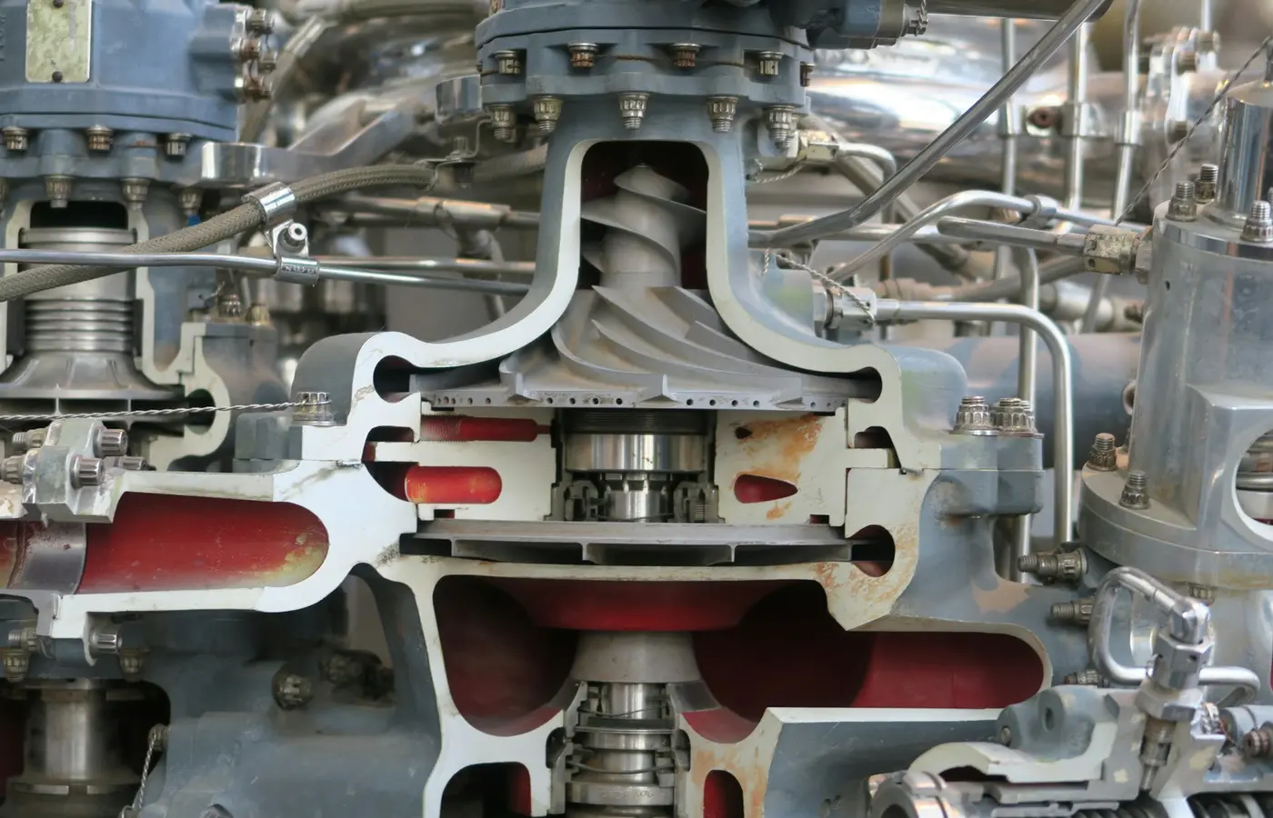 Mechanical seal assembly shown in a pump cross-section.